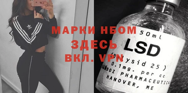 прущие грибы Алексеевка