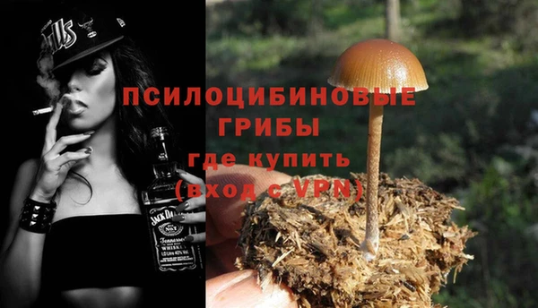 мет Алексин