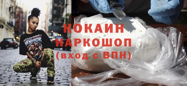 мет Алексин