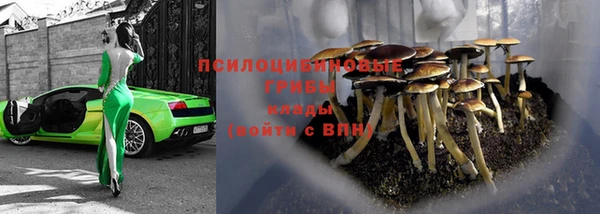 не бодяженный Алзамай